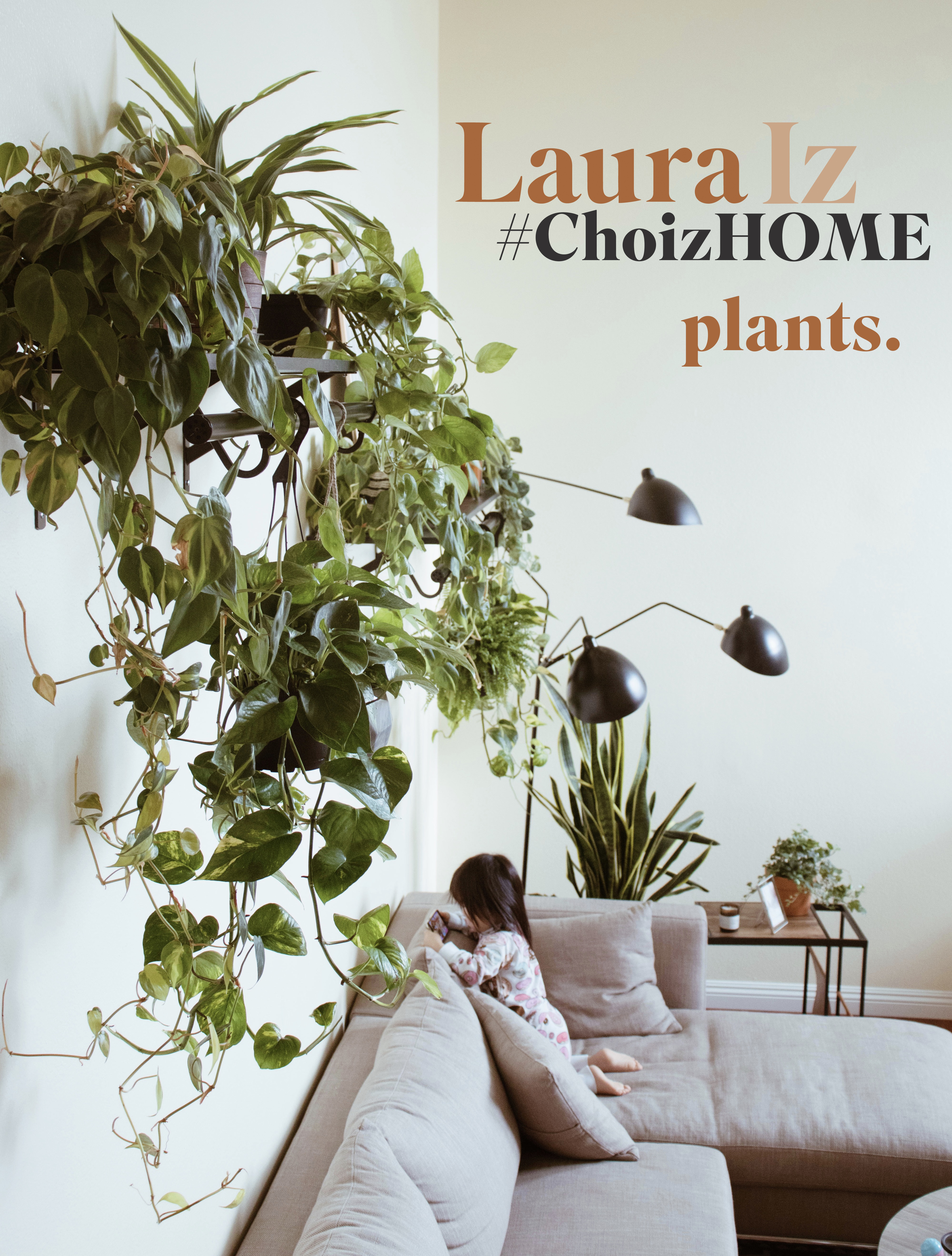 Laura Iz House Plants